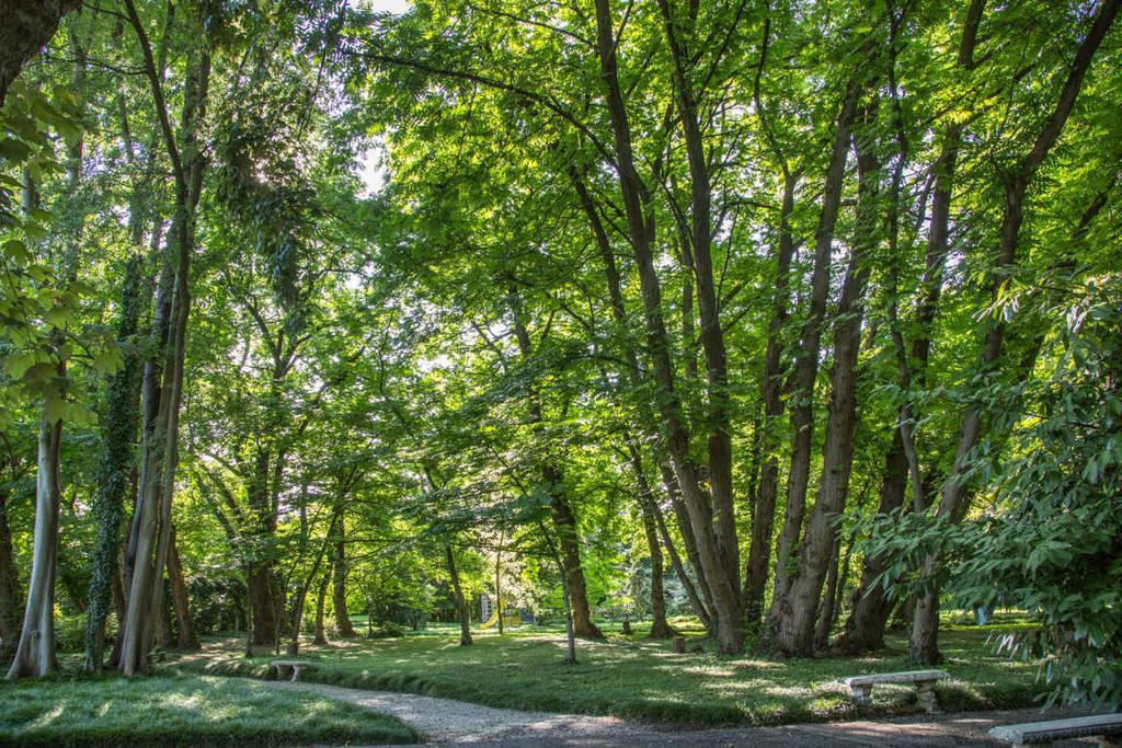 Villa Revedin Gorgo al Monticano Bagian luar foto