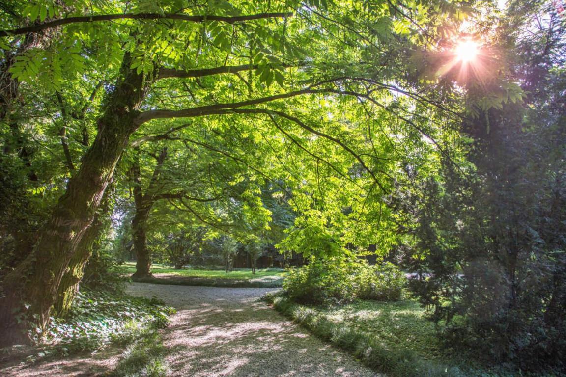 Villa Revedin Gorgo al Monticano Bagian luar foto